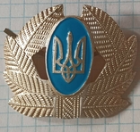 Soldier of the Ukrainian army 1993-2014 army Ukraine cockade on cap, light metal, aluminum, photo number 7