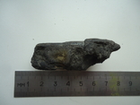 Fragment of petrified wood., photo number 5