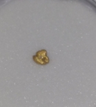 Native gold collector's specimen (badge), photo number 2