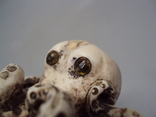 Netsuke figure figurine mammoth bone miniature octopus height 4.2 cm, weight 73.96 g, photo number 10
