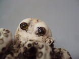 Netsuke figure figurine mammoth bone miniature octopus height 4.2 cm, weight 73.96 g, photo number 11