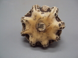 Netsuke figure figurine mammoth bone miniature octopus height 4.2 cm, weight 73.96 g, photo number 12