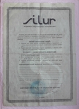 Ukraine, share of OJSC Silur, share certificate, 1997, photo number 3