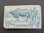 Камерун, photo number 2