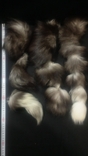 Fur, silver fox tails., photo number 12