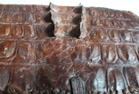 Винтажная сумка ручной работы из кожи алигатора - 23х24х8 см., фото №12
