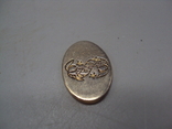 Costume jewelry overlay detail zodiac horoscope Pisces oval metal length 2.5 cm, photo number 2