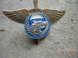 Знак дивизия ВДВ.копия, photo number 2