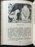 1980 Птицы живут на земле Совы Ласточки, photo number 12
