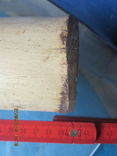 Fragment of bamboo., photo number 3