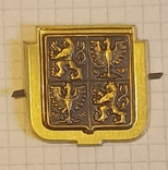 Yellow-gold Czech cockade after 1993, heavy metal, one-ton insert, terminal block, photo number 8