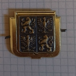 Yellow-gold Czech cockade after 1993, heavy metal, one-ton insert, terminal block, photo number 10