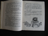 Fairy tales and stories Shiyan 1976 Vyshynskyi Cauldron, photo number 8