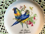 Настенная тарелка ажурный фарфор Попугаи Schumann Arzberg Tradition since 1881 Германия, photo number 3