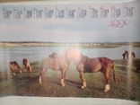 Calendar poster horses, photo number 2