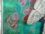 Картина с бабочками, фото №7