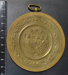 Медаль Тамада, СССР, фото №5