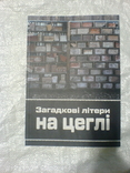 History of Cherkassy and region -Mysterious letters on bricks, photo number 7