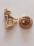 The dog's brooch is small., photo number 5