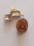 The dog's brooch is small., photo number 6
