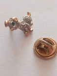 The dog's brooch is small., photo number 8
