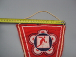 Pennant sport fencing USSR length 31.5-40 cm, width 19.5 cm, photo number 6