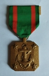 U.S. Navy and Marine Corps Medal of Achievement, photo number 2