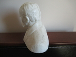 Bust of Taras Shevchenko Plastic, photo number 6