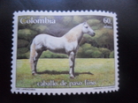 Fauna. Colombia. Konyaka, photo number 2
