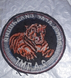 Chevron Patch PV Ukraine Border Guard 2 ADMG Tiger PVU., photo number 3