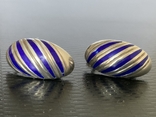 Earrings with enamel 875, USSR, photo number 2