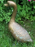 Life-size sculpture of a Goose, 68 cm, bronze, Germany, photo number 5