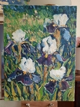 Painting Taras Dudka ''Irises'' 30/40 canvas/oil on canvas 2011, photo number 3