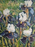 Painting Taras Dudka ''Irises'' 30/40 canvas/oil on canvas 2011, photo number 2
