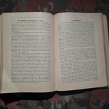 Книга Руководство по бактериологии на немецком языке1926 г., фото №10