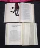 2 тома УССР в ВОВ Советского Союза 1975 г, фото №8