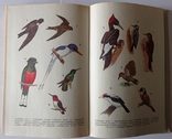 Рідкісні і зникаючі тварини. Птахів. 446 с. (російською мовою)., фото №6