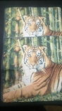 Tapestry "Tiger" 0.46 * 0.46cm. New. 2pcs per lot, photo number 8