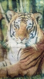 Tapestry "Tiger" 0.46 * 0.46cm. New. 2pcs per lot, photo number 10