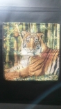 Tapestry "Tiger" 0.46 * 0.46cm. New. 2pcs per lot, photo number 12