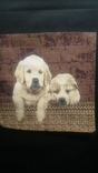 Tapestry "Doggies" 0.36*0.36cm., photo number 13