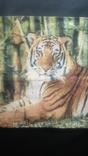 Tapestry "Tiger" 2 pieces.0.45*0.45 New, photo number 8