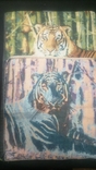 Tapestry "Tiger" 2 pieces.0.45*0.45 New, photo number 9