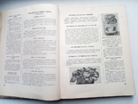 Книга о вкусной и здоровой пише 1954 г, фото №3