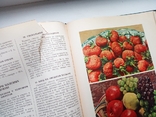 Книга о вкусной и здоровой пише 1954 г, фото №9