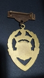 Масонская медаль. 1964 год (П1), фото №4