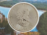 Серебряная (+позолота) монета 5 долларов 2017г, (31,10 г, 0.9999); Канада, фото №3
