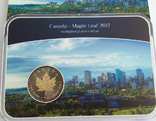 Серебряная (+позолота) монета 5 долларов 2017г, (31,10 г, 0.9999); Канада, фото №5