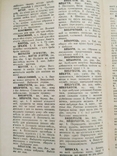 Короткий тлумачний словник української мови (1988), фото №7