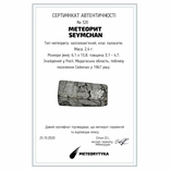 Заготовка-вставка з метеорита Seymchan, 2,4 г, із сертифікатом автентичності, фото №3